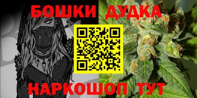 spice Обь