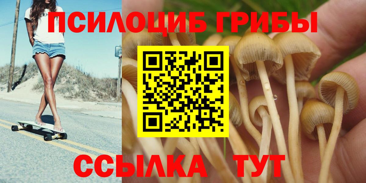 Псилоцибиновые грибы GOLDEN TEACHER Большой Камень
